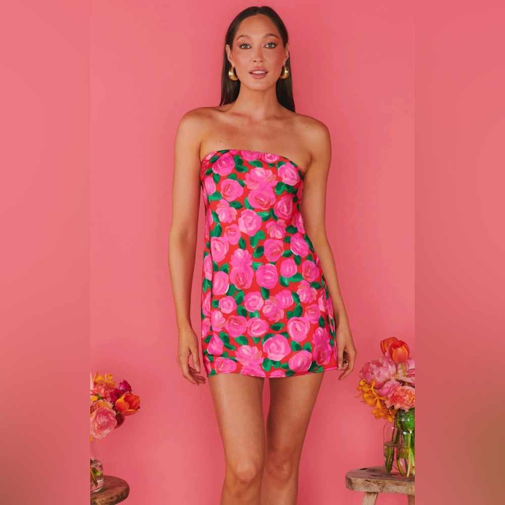 Show Me Your Mumu Taylor Tube Mini Dress - Rosie Blooms
